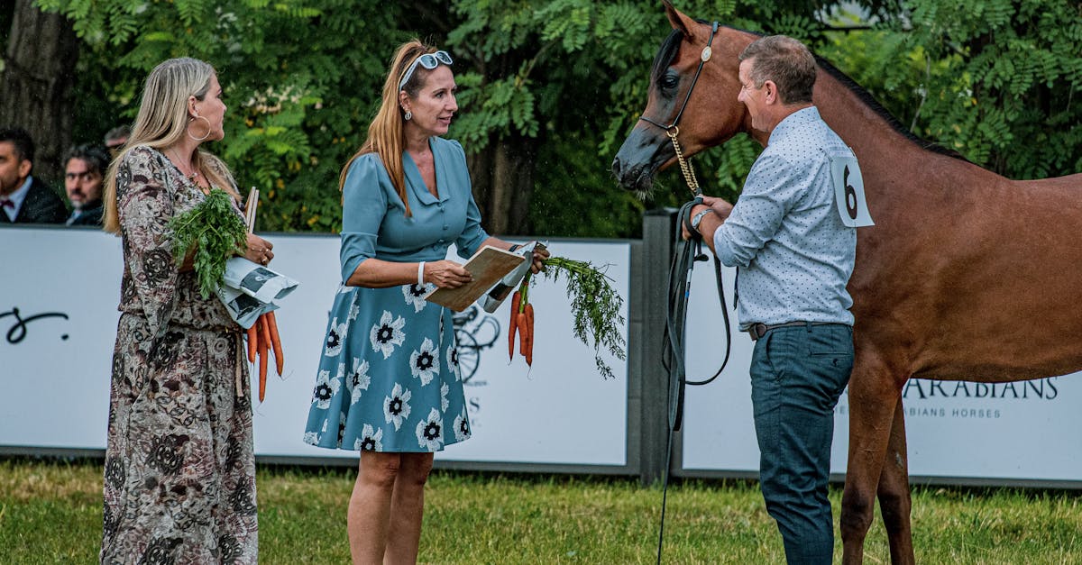 découvrez tout sur le rôle et les responsabilités d'un juge dans le système judiciaire, ainsi que son impact sur la justice et la société.