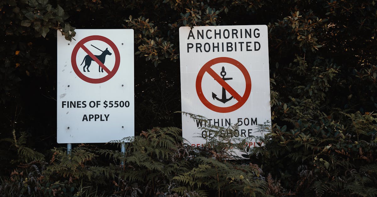 informations sur les mentions légales et les frais applicables pour l'année 2025. découvrez les tarifs en vigueur et les conditions légales associées.