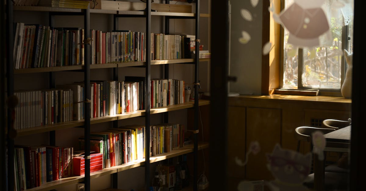 professionnel spécialisé dans la préservation, la restauration et la conservation des documents et ouvrages dans les bibliothèques.