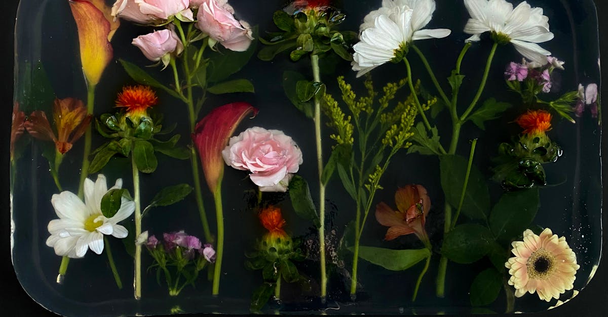 découvrez l'art moderne de la fleuristerie avec des compositions innovantes et élégantes qui subliment chaque occasion.