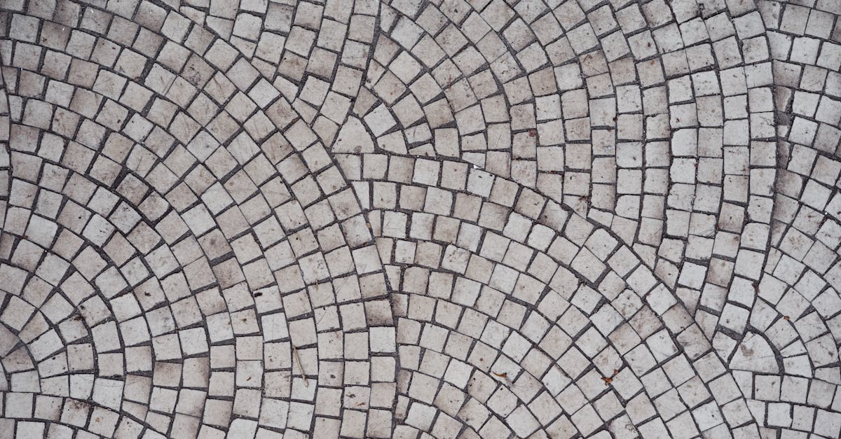 découvrez l'art fascinant de la mosaïque, une technique décorative composée de petites pièces colorées pour créer des motifs uniques et expressifs.