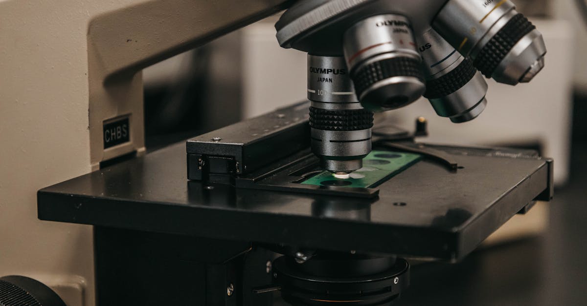 chercheur en physique spécialisé dans l'étude des phénomènes naturels, la modélisation mathématique et les expérimentations scientifiques pour faire avancer la compréhension de l'univers.