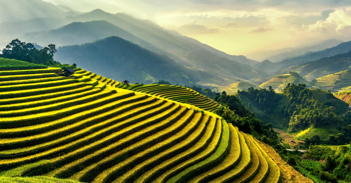 découvrez les meilleures pratiques pour la location rurale afin d'optimiser vos contrats, sécuriser vos droits et favoriser une gestion efficace des propriétés rurales.