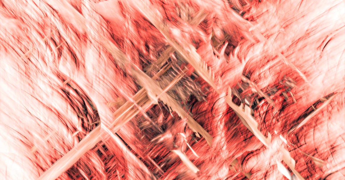 découvrez tout sur la sasu, la société par actions simplifiée unipersonnelle : fonctionnement, avantages, création et gestion pour entrepreneurs.