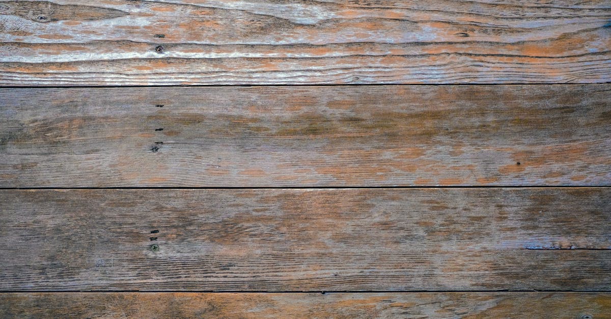 taille-crayon de haute qualité pour un affûtage précis et rapide de vos crayons. idéal pour l'école, le bureau ou les artistes.