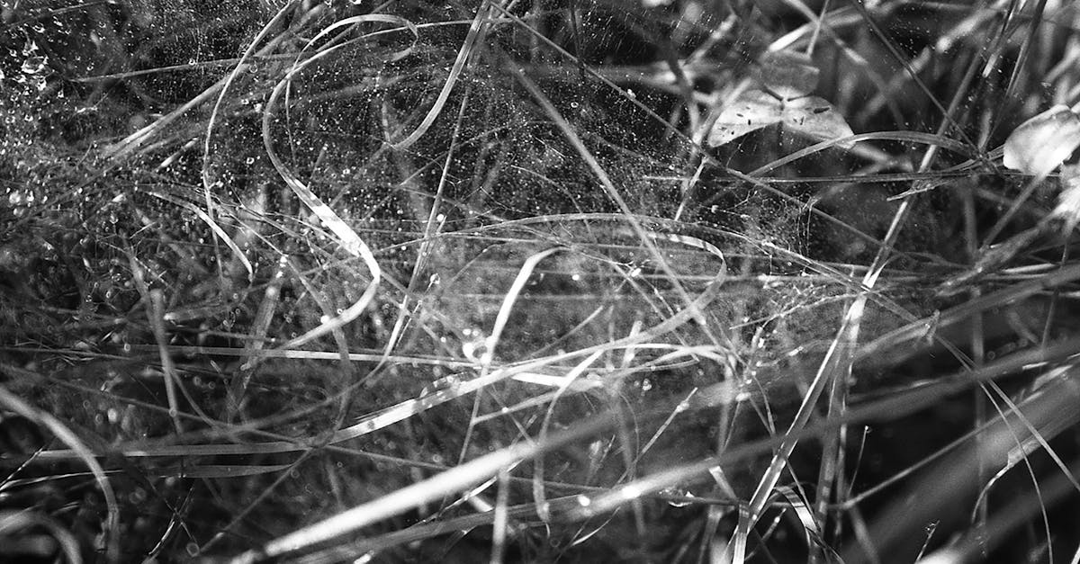 découvrez les forces et les faiblesses pour mieux comprendre vos atouts et points à améliorer.