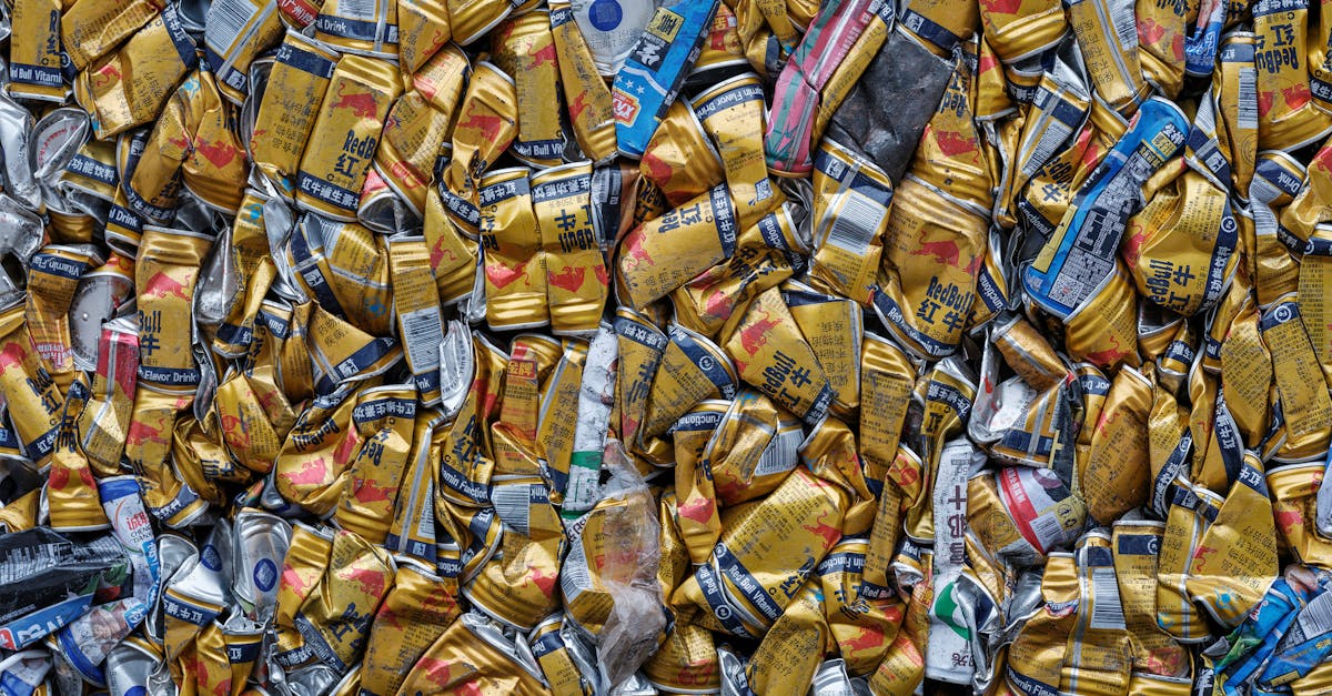 responsable de la gestion de la collecte des déchets, optimisant les processus pour un service efficace et respectueux de l'environnement.