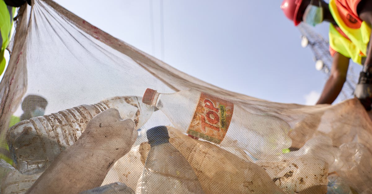 gestionnaire de collecte des déchets : optimisez la planification et le suivi des déchets pour une gestion efficace et durable.