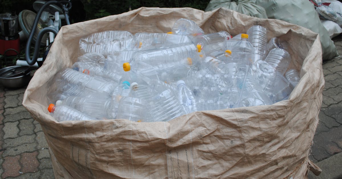 découvrez le rôle clé d'un gestionnaire de la collecte des déchets, responsable de l'organisation, du suivi et de l'optimisation des opérations de gestion des déchets pour un environnement propre et durable.