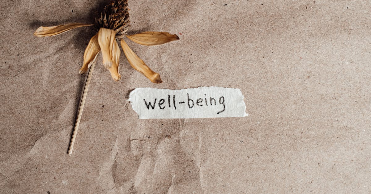 découvrez les métiers du bien-être, leurs spécificités, formations et opportunités pour améliorer la qualité de vie physique et mentale.