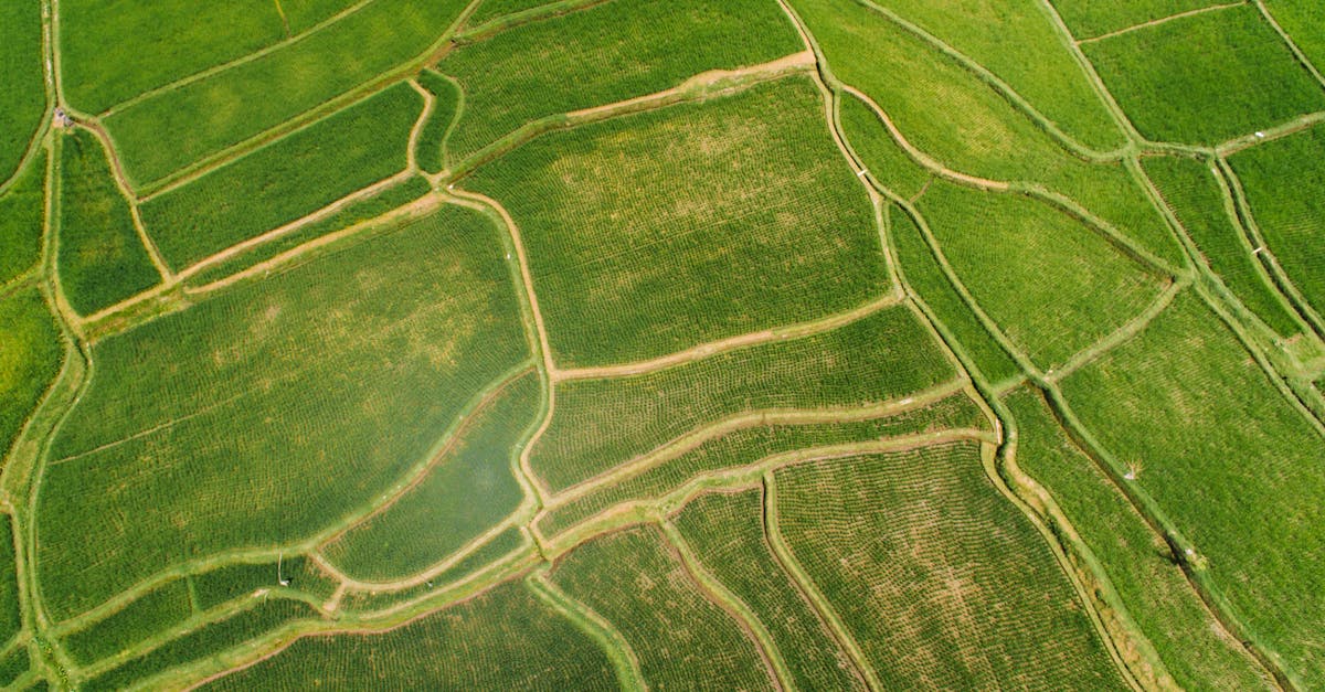 découvrez comment un yield manager optimise la gestion des revenus en maximisant la rentabilité grâce à l'analyse des données et à la stratégie tarifaire.