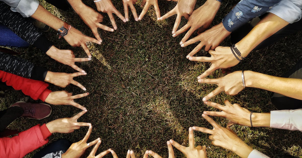 découvrez le concept de capital social, son importance dans les réseaux humains et son impact sur la coopération et le développement des communautés.