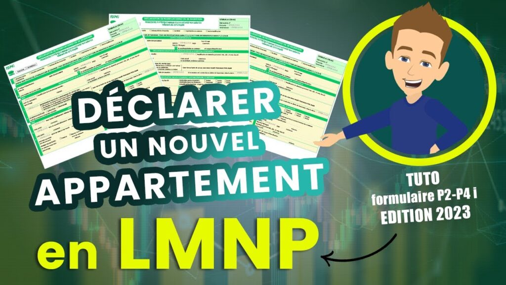 Les étapes pour effectuer une déclaration de LMNP
